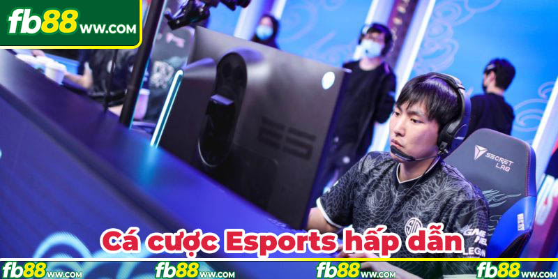 Cá cược Esports siêu hấp dẫn