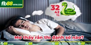 Mơ thấy rắn nên đánh số nào?